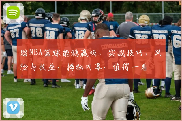 赌NBA篮球能稳赢吗，实战技巧，风险与收益，揭秘内幕，值得一看