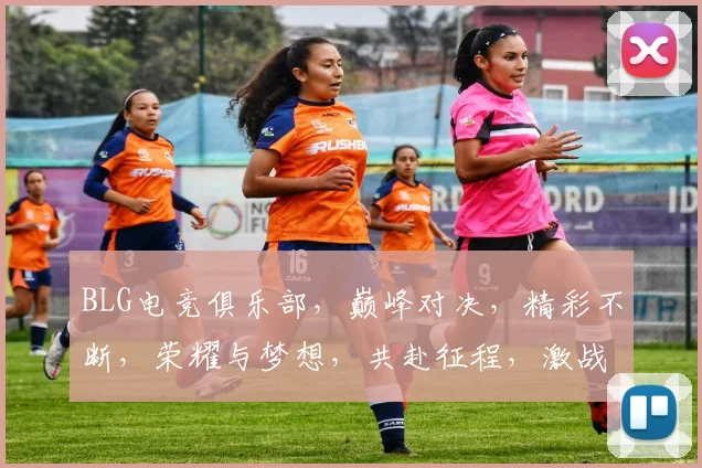 BLG电竞俱乐部，巅峰对决，精彩不断，荣耀与梦想，共赴征程，激战正酣
