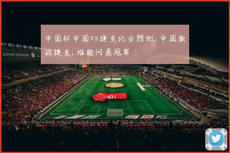 中国杯中国vs捷克比分预测,中国激战捷克,谁能问鼎冠军