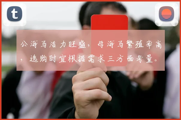 公海马活力旺盛，母海马繁殖率高，选购时宜根据需求三方面考量。