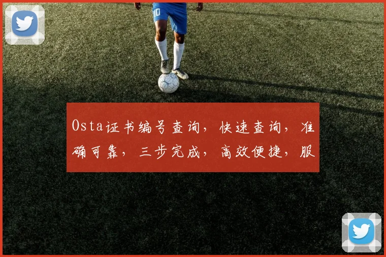 Osta证书编号查询，快速查询，准确可靠，三步完成，高效便捷，服务至上，