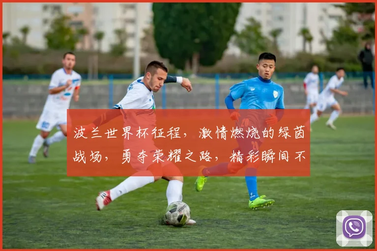 波兰世界杯征程，激情燃烧的绿茵战场，勇夺荣耀之路，精彩瞬间不容错过，期待辉煌时刻